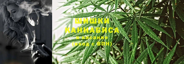 твердый Алзамай