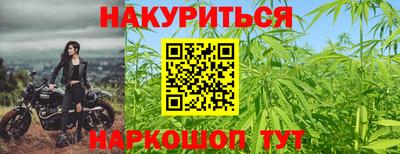 СК Севастополь