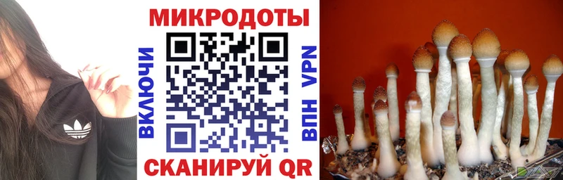 где продают наркотики  Чебоксары  Псилоцибиновые грибы прущие грибы 