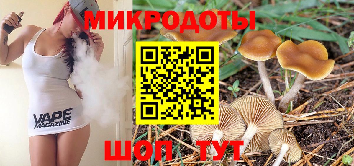 Чебоксары  Галлюциногенные грибы Psilocybe  Вход с VPN  Псилоцибиновые грибы Psilocybe 