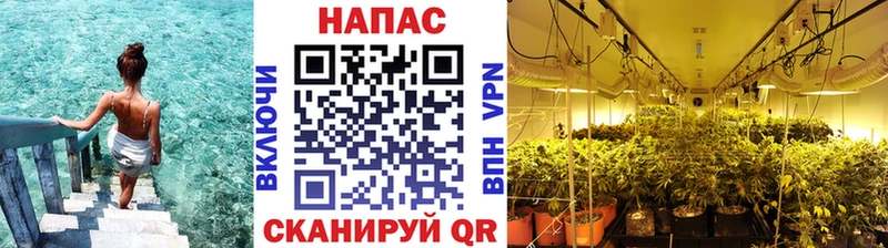гидра ТОР Чебоксары Конопля OG Kush